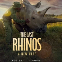 The Last Rhinos: A New Hope