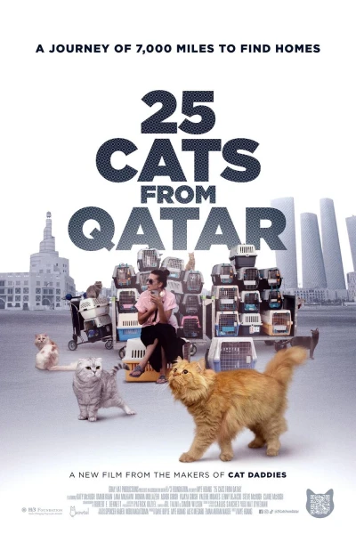 25 Cats from Qatar