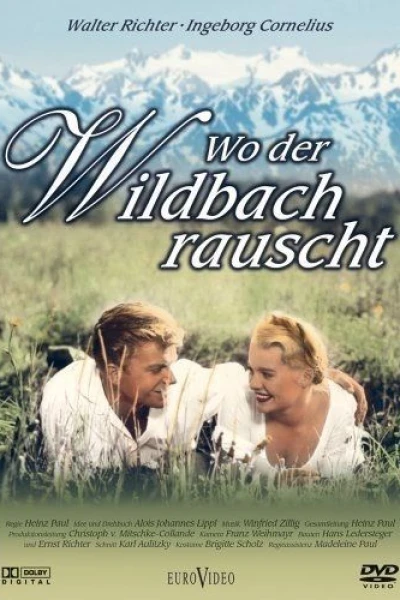 Wo der Wildbach rauscht