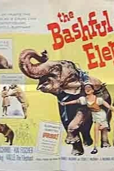 The Bashful Elephant