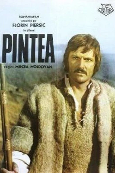 Pintea