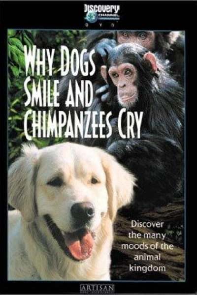 Why Dogs Smile Chimpanzees Cry