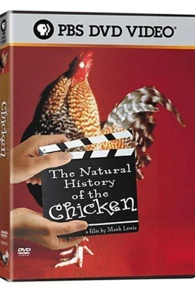 The Natural History of the Chicken