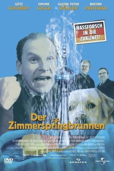 Der Zimmerspringbrunnen