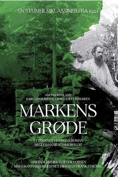 Markens grøde