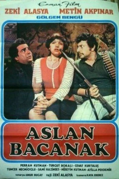 Aslan bacanak