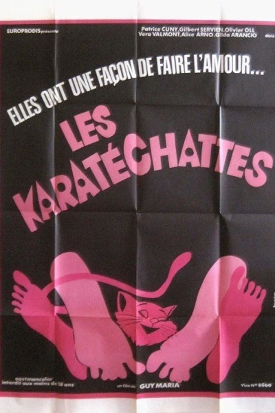 Les pornochattes