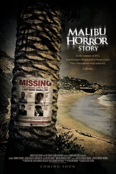 Malibu Horror Story