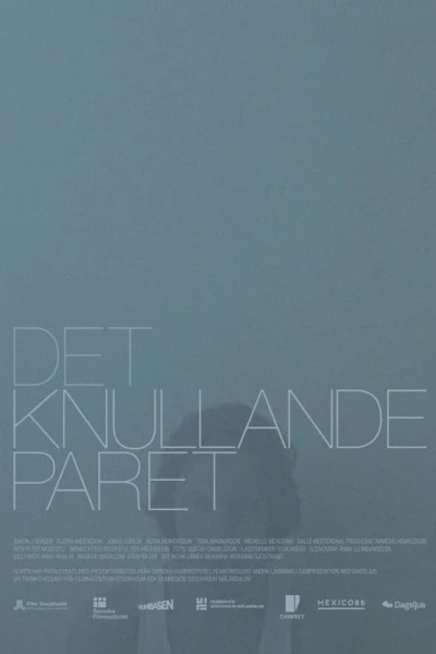 Det knullande paret