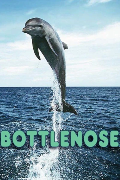 Bottlenose