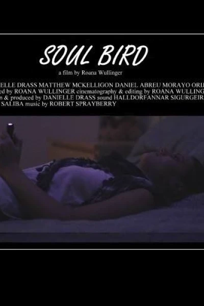 Soul Bird