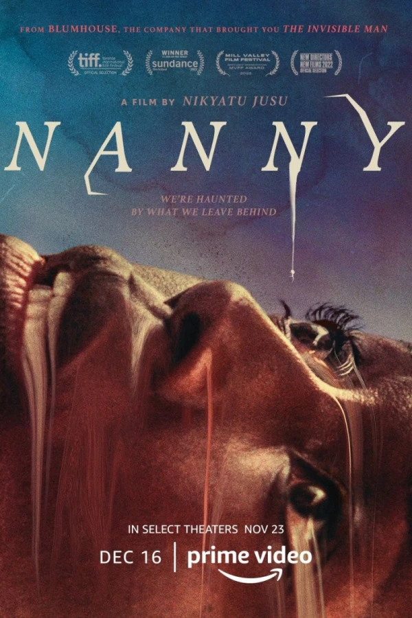 Nanny Plakat