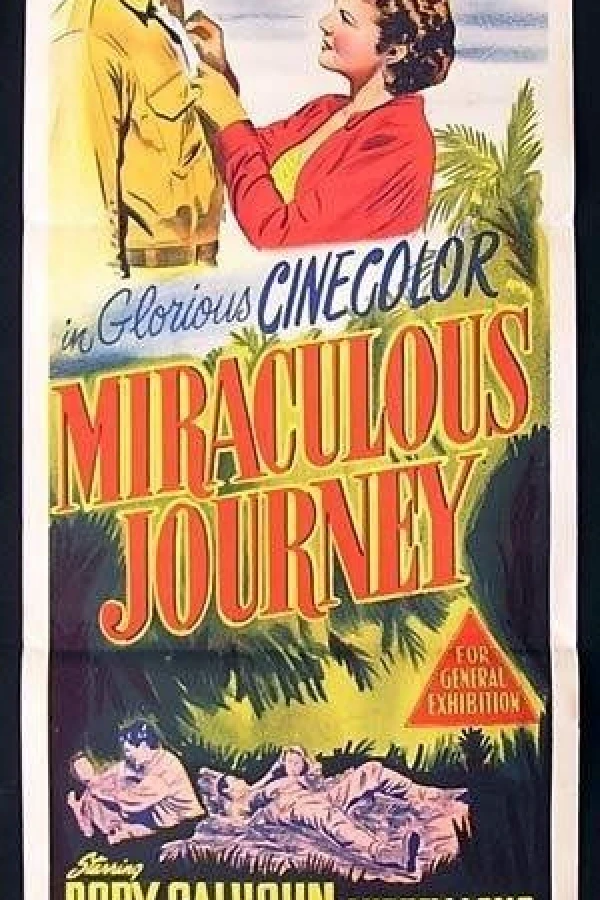 Miraculous Journey Plakat