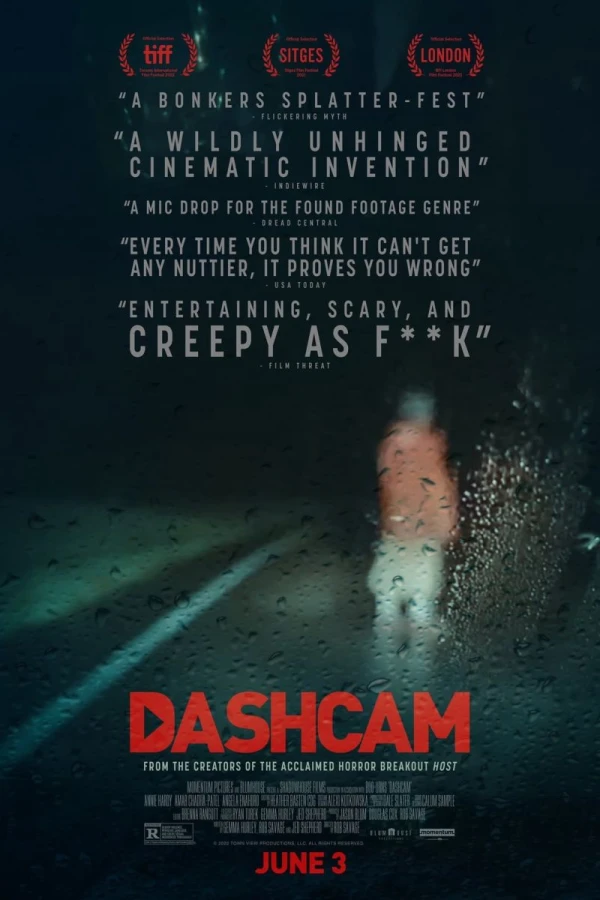 Dashcam Plakat