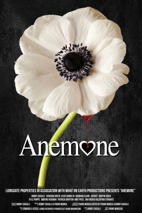 Anemone Plakat
