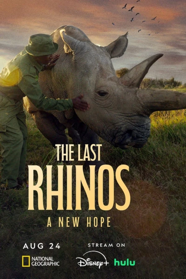 The Last Rhinos: A New Hope Plakat