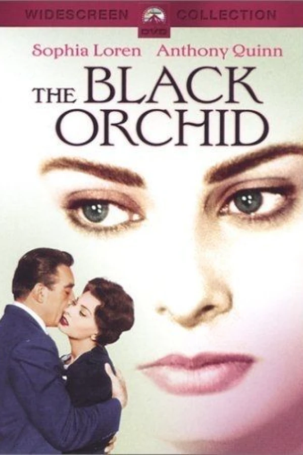 The Black Orchid Plakat