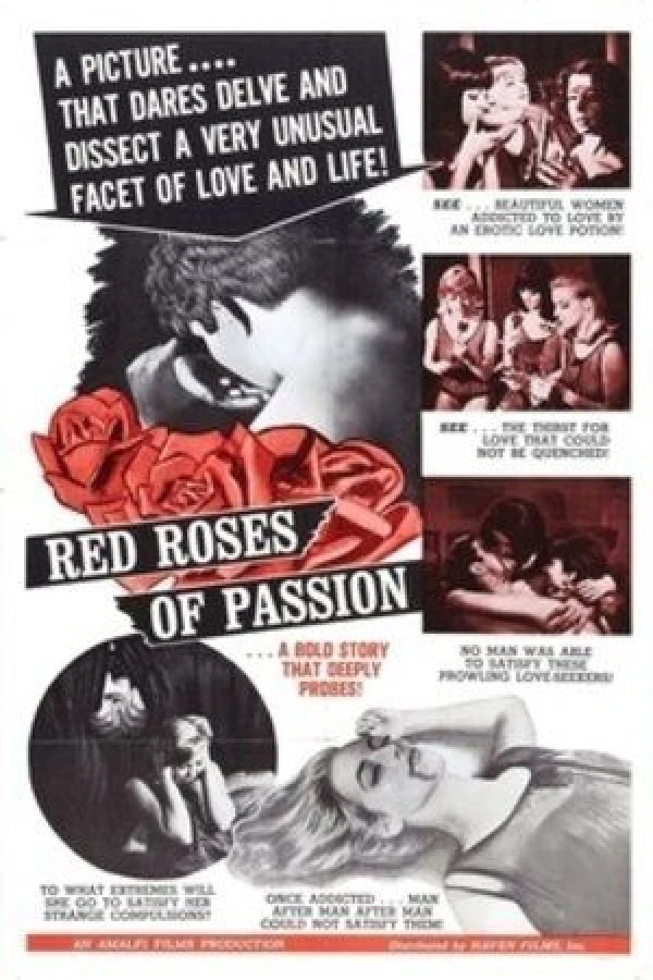 Red Roses of Passion Plakat