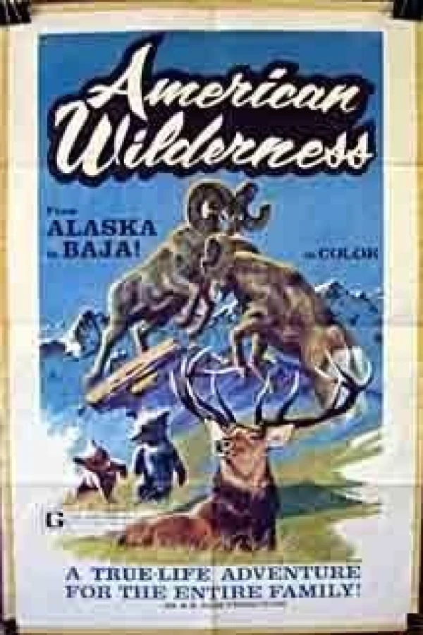 American Wilderness Plakat