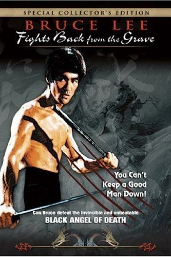 Bruce Lee Fights Back from the Grave Plakat