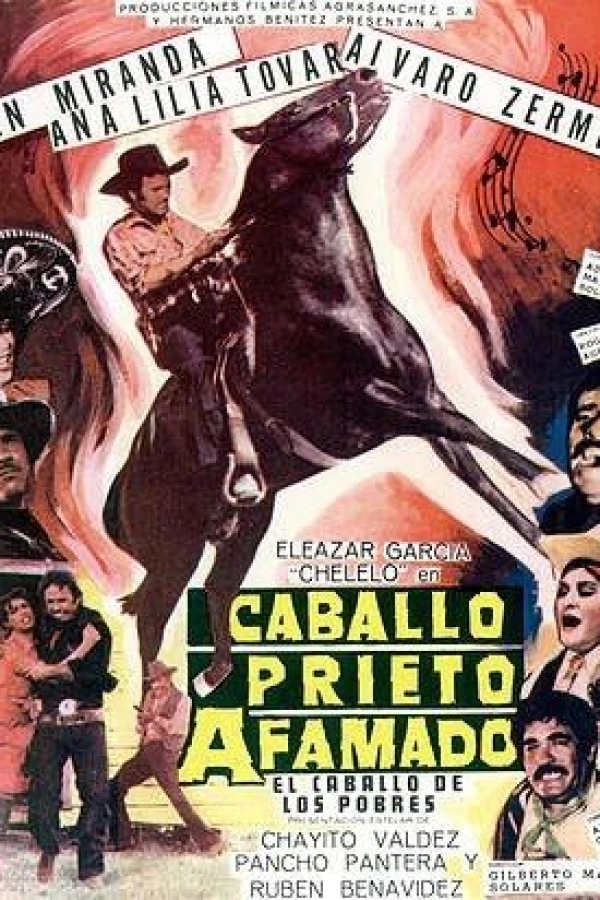 Caballo prieto afamado Plakat