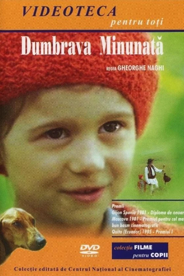 Dumbrava minunata Plakat