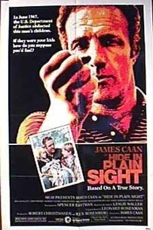 Hide in Plain Sight Plakat