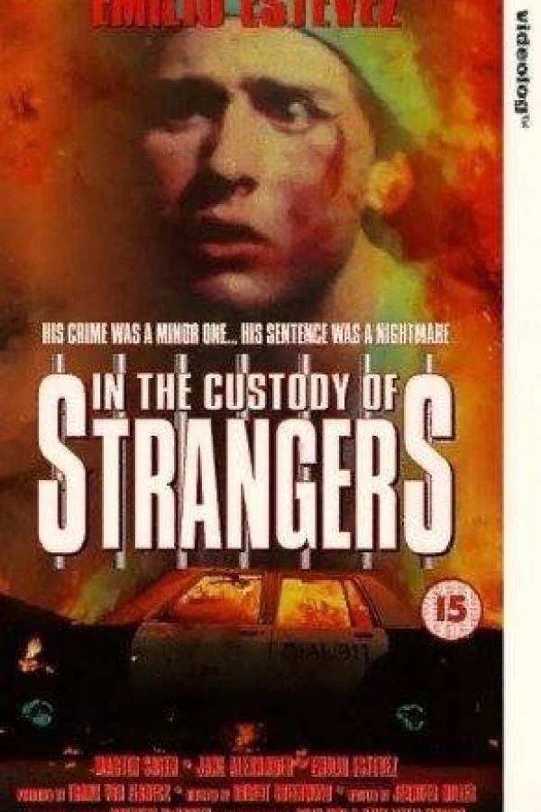 In the Custody of Strangers Plakat