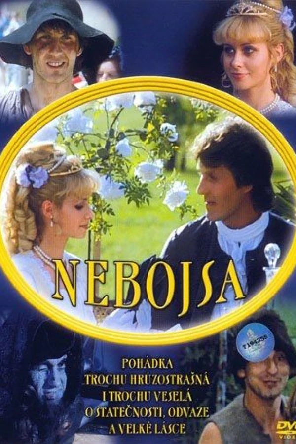 Nebojsa Plakat