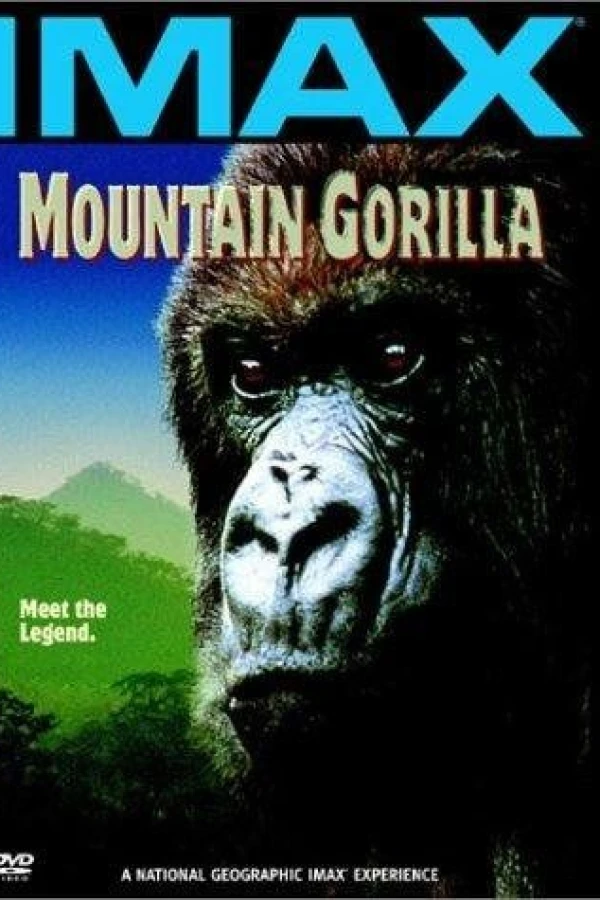 Mountain Gorilla Plakat