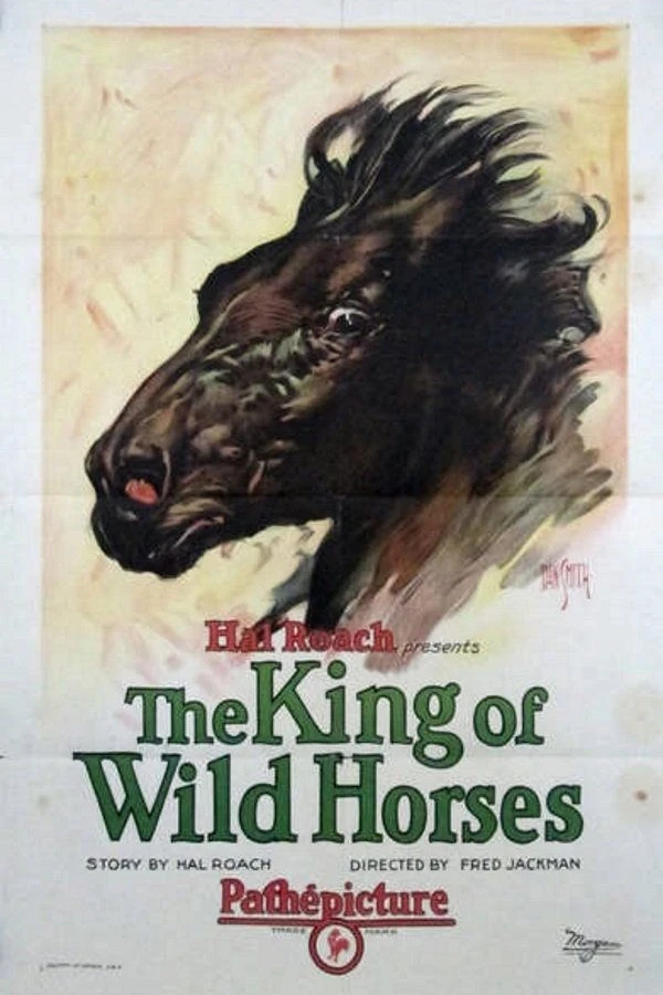 The King of Wild Horses Plakat