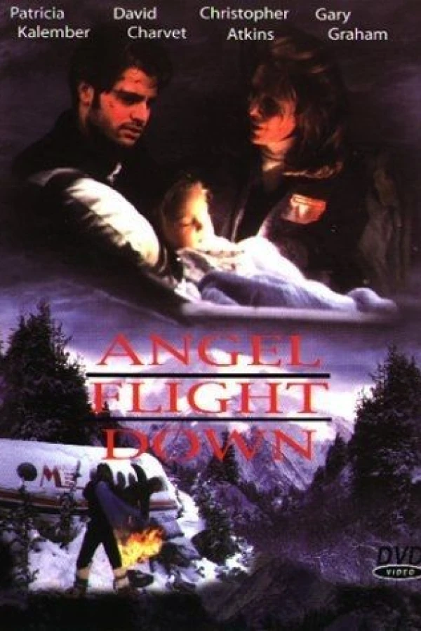 Angel Flight Down Plakat