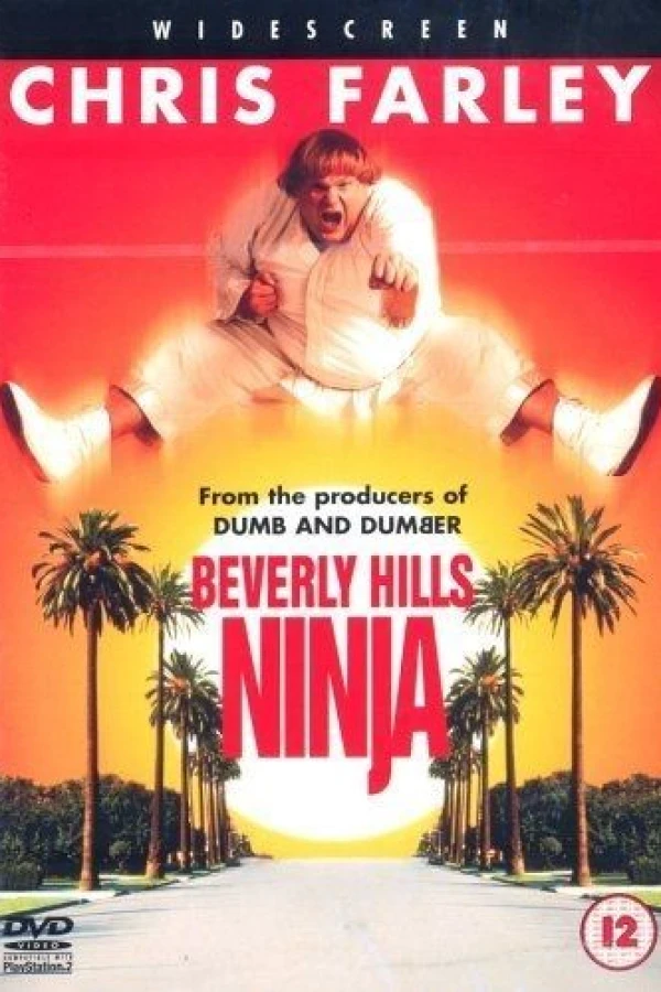 Beverly Hills Ninja Plakat