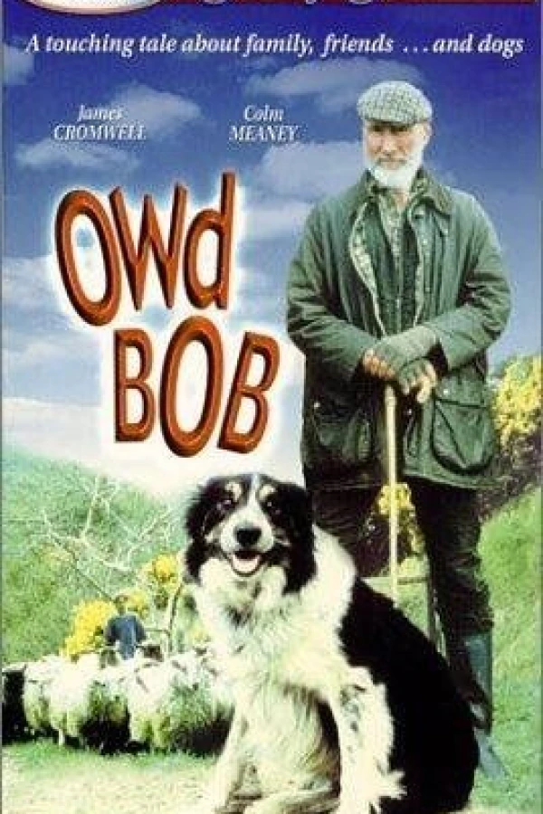 Owd Bob Plakat