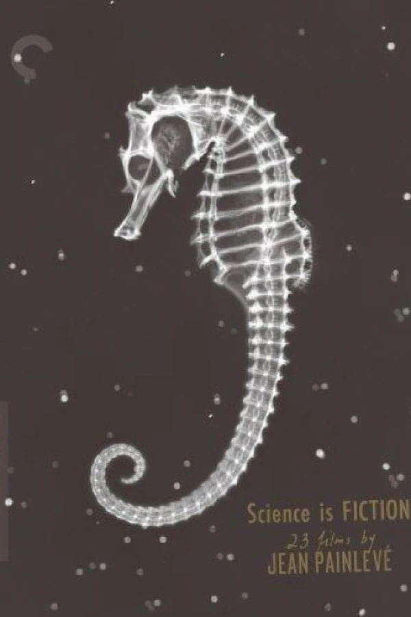 The Seahorse Plakat