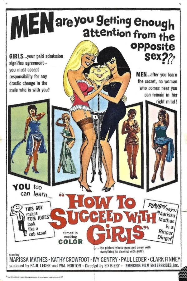 How to Succeed with Girls Plakat