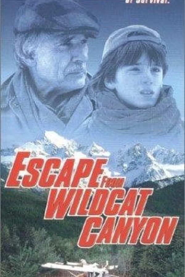 Escape from Wildcat Canyon Plakat