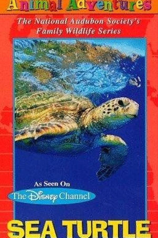 Audubon's Animal Adventures Plakat
