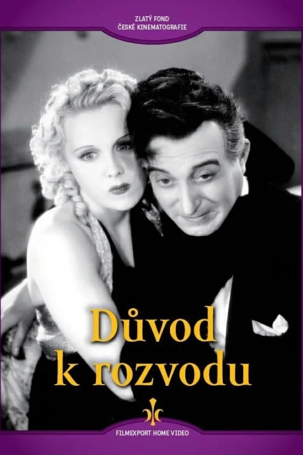 Duvod k rozvodu Plakat