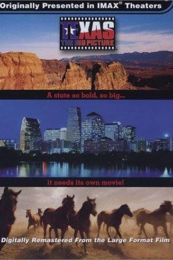 Texas: The Big Picture Plakat