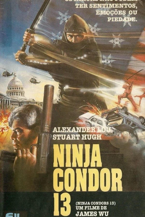 Ninja Condors Plakat