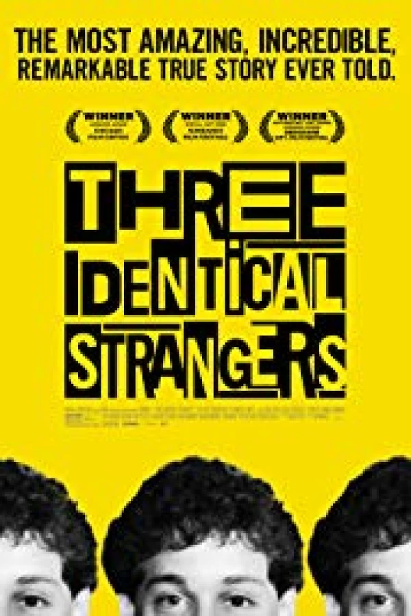 Three Identical Strangers Plakat