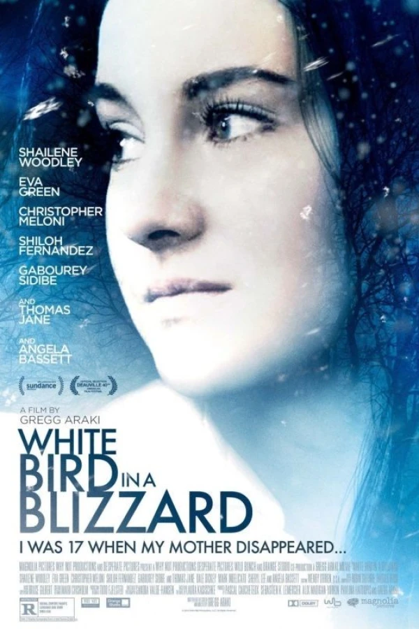 White Bird in a Blizzard Plakat