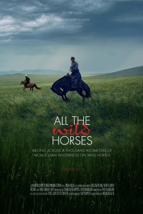 All the Wild Horses Plakat