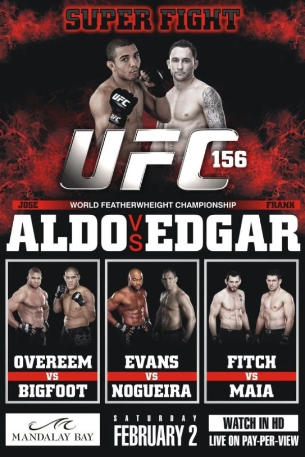 UFC 156 Aldo vs. Edgar Plakat