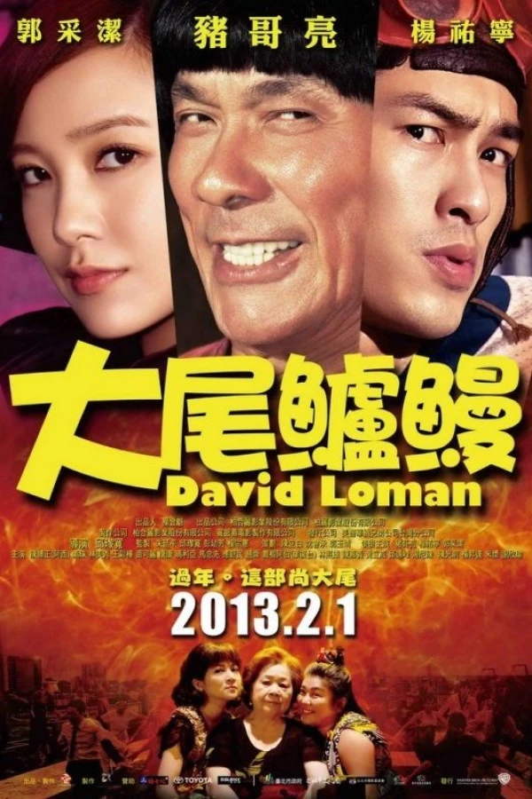 David Loman Plakat