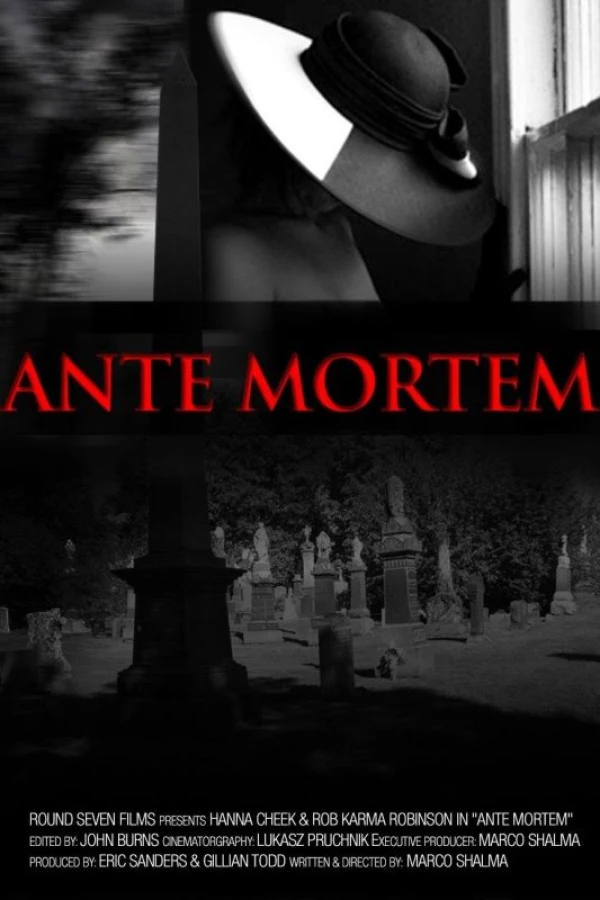 Ante Mortem Plakat