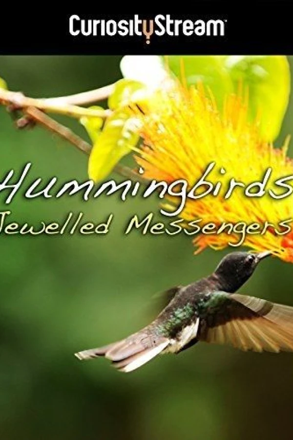 Hummingbirds Jewelled Messengers Plakat