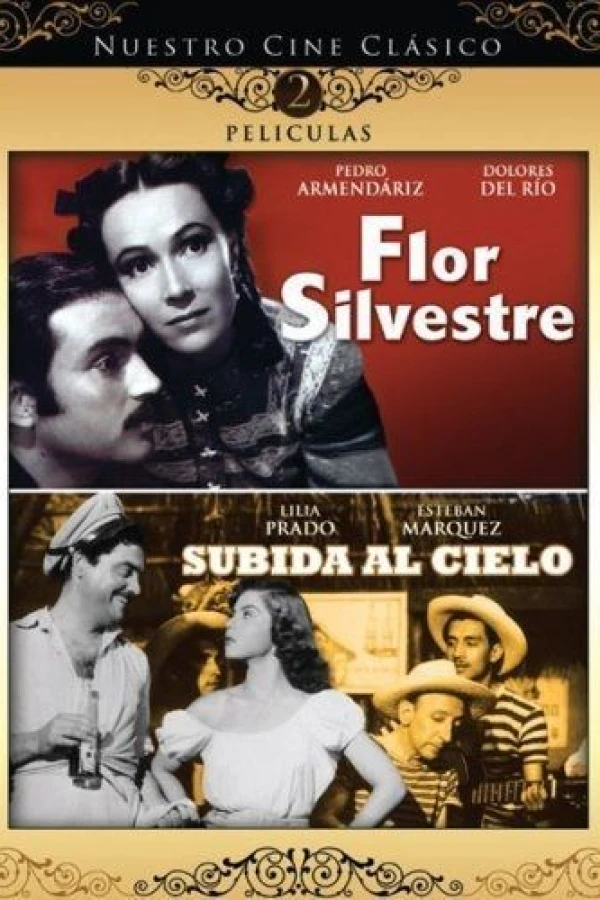 Flor silvestre Plakat