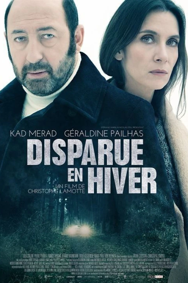 Disparue en hiver Plakat